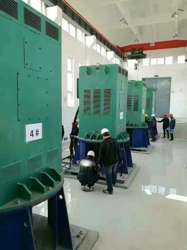 乌鲁木齐某污水处理厂使用我厂的立式高压电机安装现场